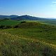 Torr na vrcholu Šibeník (20.5.2024 8:40)