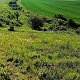 Torr na vrcholu Šibeník (20.5.2024 8:40)