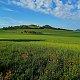 Torr na vrcholu Šibeník (20.5.2024 8:40)