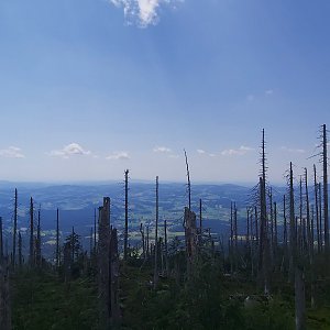 Denny Valach na vrcholu Trojmezná (21.7.2024 12:45)