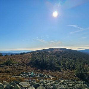 Maki na vrcholu Břidličná (10.11.2024 12:18)