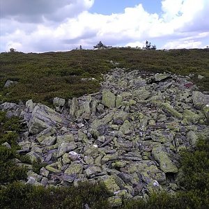 Bohumír Michal na vrcholu Břidličná (6.6.2021 14:06)