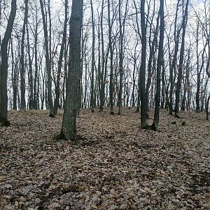 Martin Kovalski na vrcholu Bosně (18.3.2021 15:47)