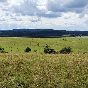 man1equilla na vrcholu Nad Křížkem (7.8.2021 14:42)