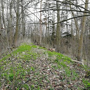 Vladimír Grančay na vrcholu Prácheň - J vrchol (25.3.2024 11:24)