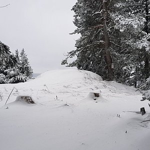 Cesty Haničky a Milana na vrcholu Branišovský vrch (24.1.2021 12:51)