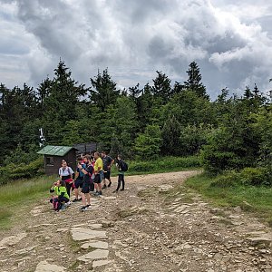 krupjan na vrcholu Radegast - Z vrchol I (11.6.2024 10:46)