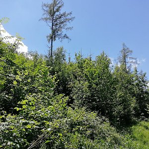 Vladimír Grančay na vrcholu U Ondřeje (26.6.2022 12:45)