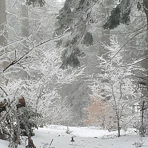 Peťulik na vrcholu Radhošť (4.3.2022 15:30)