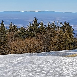 Peťulik na vrcholu Radhošť (13.3.2022 8:45)