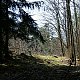 Petra na vrcholu Výrovec (30.3.2021 15:14)