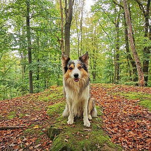 Jiří Králík na vrcholu Bradlec (1.10.2022 12:00)