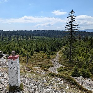 krupjan na vrcholu Brousek (1.8.2024 14:38)