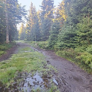 Cyklista 73 na vrcholu Bílé kameny (9.8.2024 8:20)