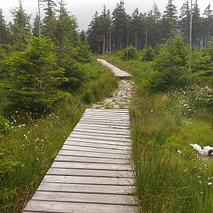 Žirafka183 na vrcholu Malý Jezerník (18.6.2018 10:45)