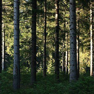 Bouřka na vrcholu Jelení vrch (29.10.2021 16:52)