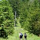 Mountainer na vrcholu Žárový vrch - JZ vrchol (16.6.2012 13:59)