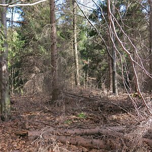 ZdenkaV na vrcholu bezejmenný vrchol (26.2.2021)