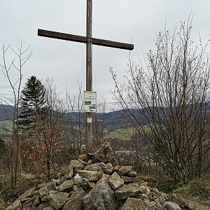 Šárka na vrcholu Prašivá hora - hřeben (10.3.2024 12:45)