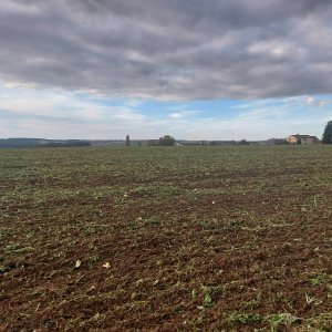 Bohumír Michal na vrcholu Nad Stádlem (9.10.2024 16:54)