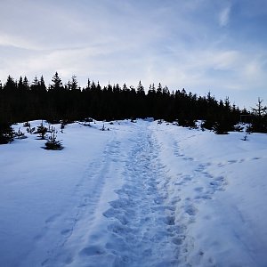 Tom Vachala na vrcholu Slavíč JV vrchol (24.2.2021 16:28)