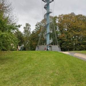 Mykas na vrcholu Vysoká (26.9.2024 16:55)