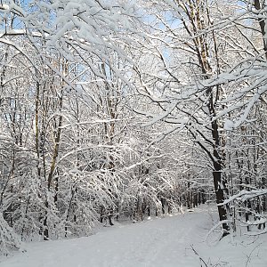 ZdenkaV na vrcholu Pežgovský les JV vrchol (13.12.2022 10:11)