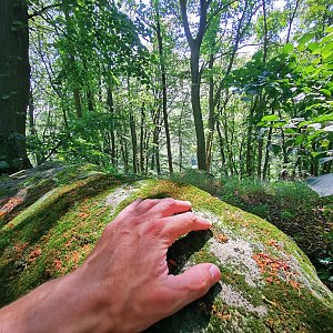 Jiří Králík na vrcholu Špidlák (14.7.2024 14:02)