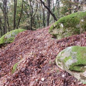 Mykas na vrcholu Špidlák (11.10.2024 13:04)