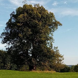 Jiřina na vrcholu Oslové (26.8.2023)