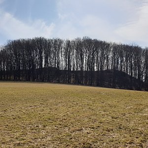 Petr Pepe Peloušek na vrcholu Kamenice Z vrchol (27.3.2021 10:12)