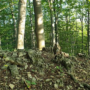 Petr Pepe Peloušek na vrcholu Kamenice Z vrchol (10.7.2021 19:11)