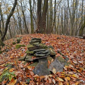 Šárka na vrcholu Stříbrná hůrka (12.11.2024 12:31)