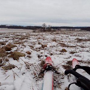 Jiřina na vrcholu Čertobrd (21.1.2023 15:36)