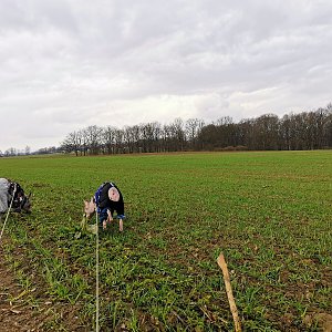 Šárka na vrcholu Majerovec JZ vrchol (3.4.2021 12:04)