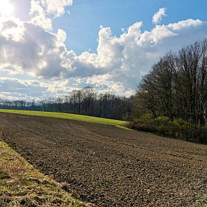 Šárka na vrcholu Majerovec JZ vrchol (6.4.2021 16:57)