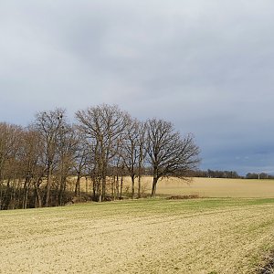 Šárka na vrcholu Majerovec JZ vrchol (11.4.2021 16:20)