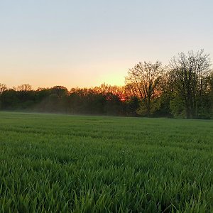 Šárka na vrcholu Majerovec JZ vrchol (10.5.2021 20:09)