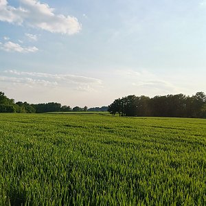 Šárka na vrcholu Majerovec JZ vrchol (5.6.2021 19:10)