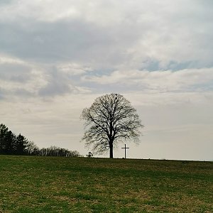 Šárka na vrcholu U Kříže (29.4.2021 14:58)