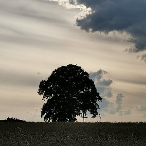 Šárka na vrcholu U Kříže (11.8.2021 17:49)