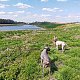 Šárka na vrcholu Halda Hrabůvka (23.4.2022 12:58)