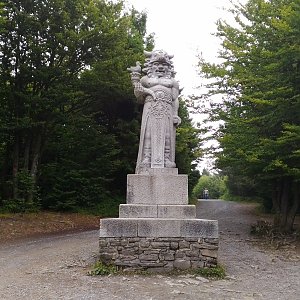 Žirafka183 na vrcholu Radegast (17.7.2017 9:31)