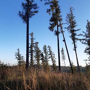 ZdenkaV na vrcholu Obecní hora V (9.10.2021 16:58)