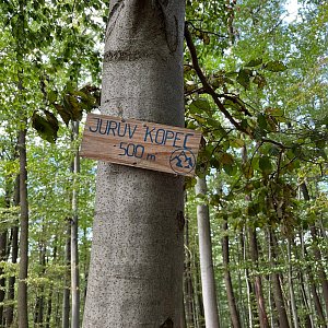 Radka D na vrcholu Jurův kopec (7.9.2024 14:18)