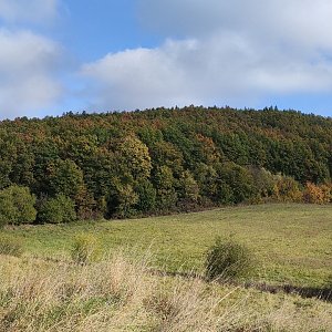 michalzhor na vrcholu Na Skalkách (16.10.2021 15:29)