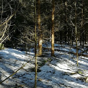 Vladimír Grančay na vrcholu Schánělův kopec (20.1.2024 11:42)