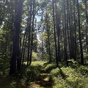 ZdenkaV na vrcholu Babí hora (6.5.2024 13:16)