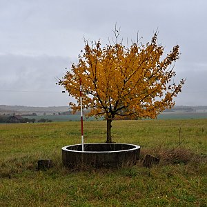 Anna na vrcholu Měňanský průhon (27.10.2023)