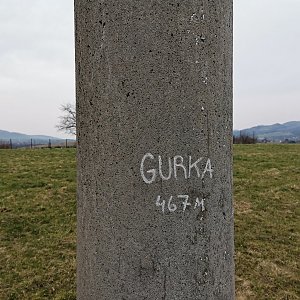 Šárka na vrcholu Gurka (1.3.2024 11:51)